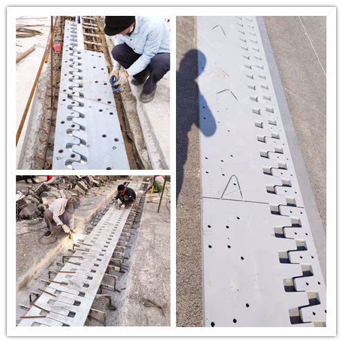 1623979066202786.png 40005b8283bc674258460732f49ffed_副本.png